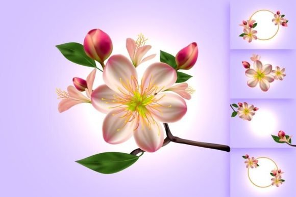 Download Vector 3D Cherry Blossom Illustrations - Blossom illustrations Collection